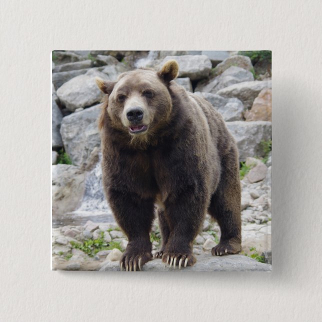 Kodiak bear button (Front)