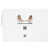 Kodiak Bear Cards (Back Horizontal)