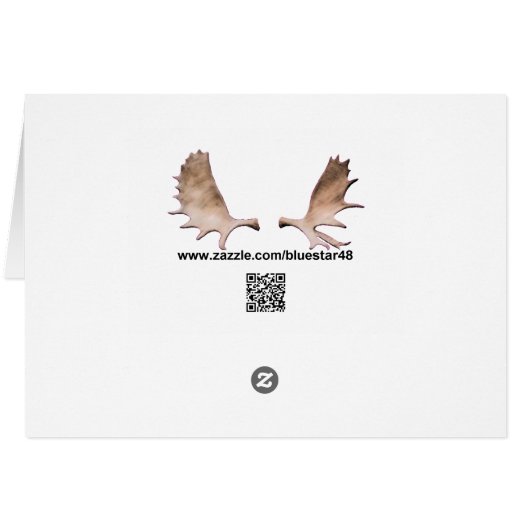 Kodiak Bear Cards (Back Horizontal)