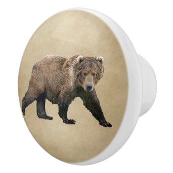 Kodiak Bear Ceramic Knob by Bluestar48 at Zazzle