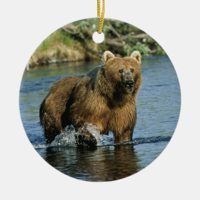 Kodiak Bear Ceramic Ornament (Front)