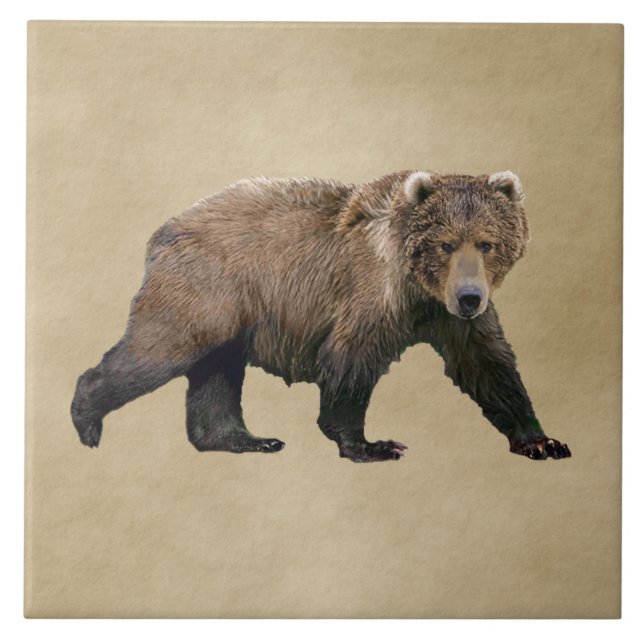 Kodiak Bear Ceramic Tile (Front)