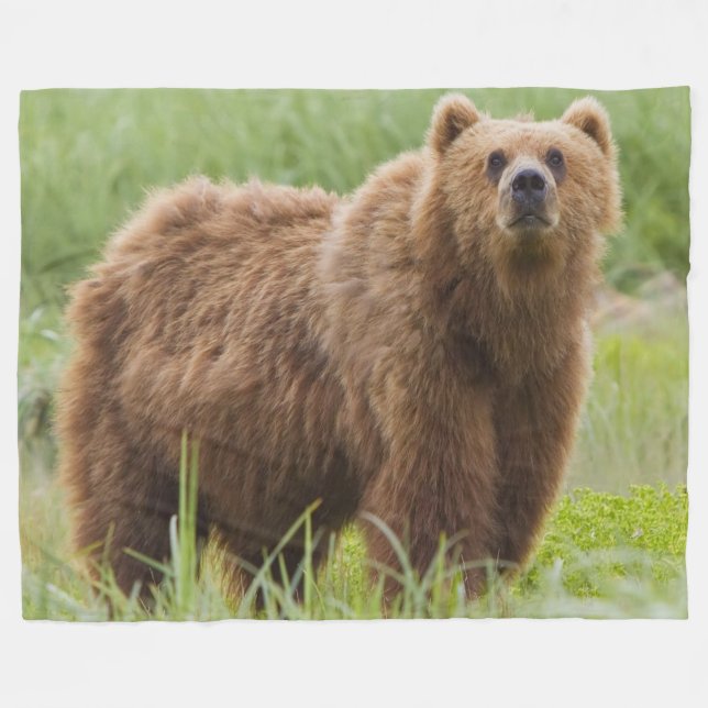 KODIAK BEAR FLEECE BLANKET (Front (Horizontal))
