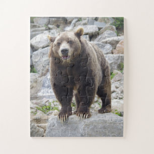 Kodiak Bear Jigsaw Puzzle