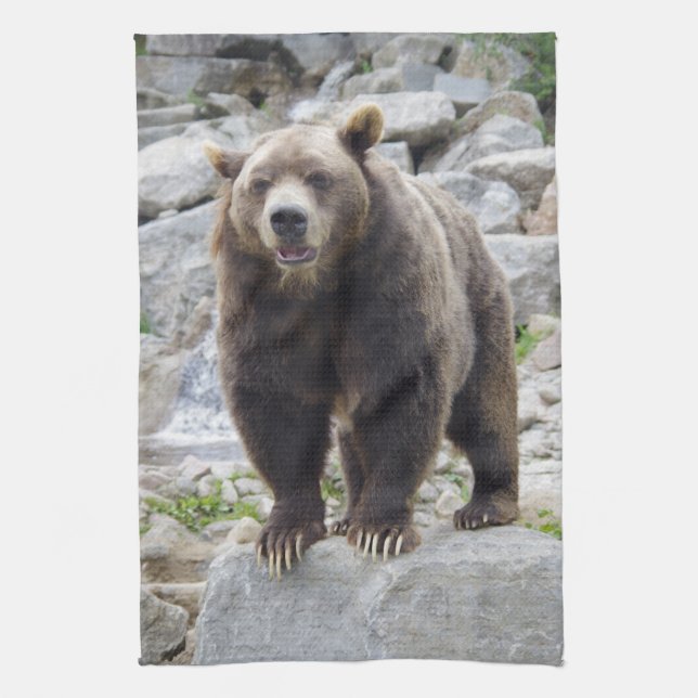 Kodiak Bear Kitchen Towel (Vertical)