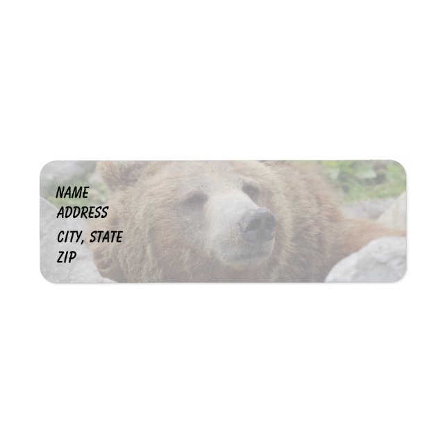 Kodiak Bear Label (Front)