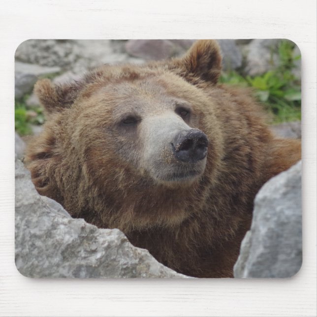 Kodiak Bear Mouse Pad (Front)