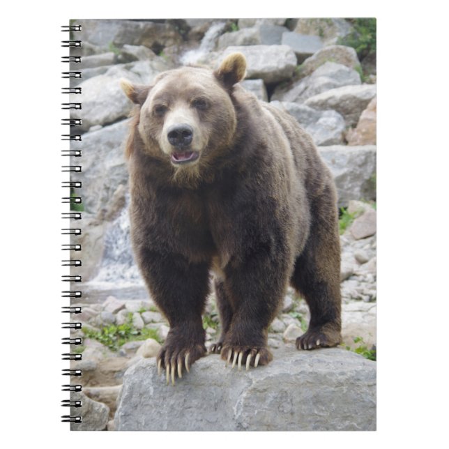 Kodiak Bear Notebook (Front)