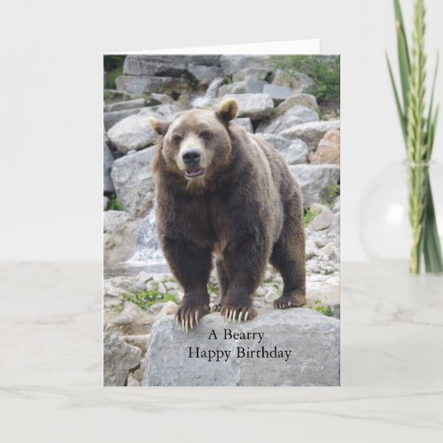 Kodiak Bear Photo Card