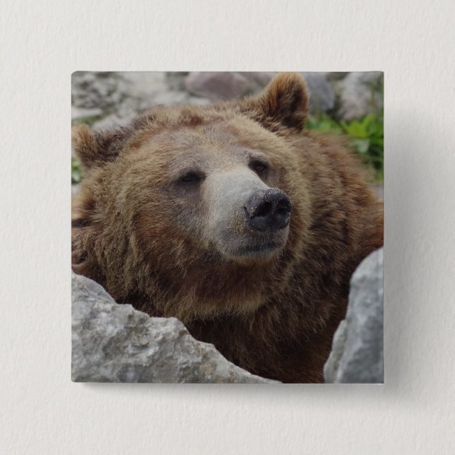 Kodiak Bear Pinback Button (Front)