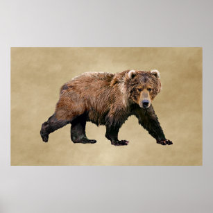 https://rlv.zcache.com/kodiak_bear_poster-rccfc8b55b1fc430a9a0ee899a4aa806d_id95r_8byvr_307.jpg