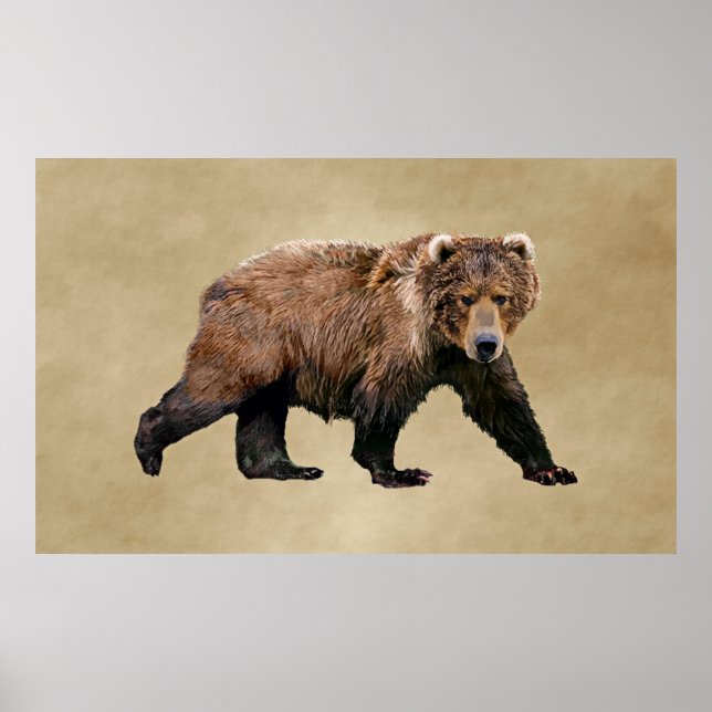 Kodiak Bear Poster (Front)