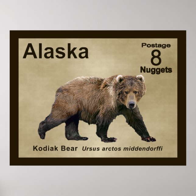 Kodiak Bear Poster (Front)