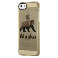 Kodiak Bear
