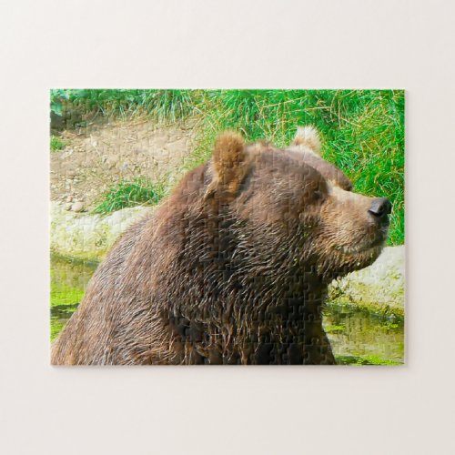 Kodiak Bears Jigsaw Puzzle