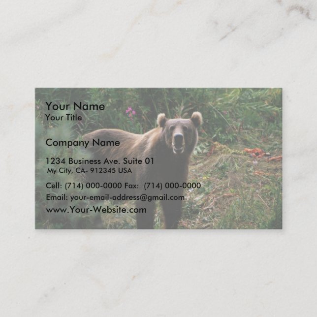 Kodiak Brown Bear Business Card (Front)