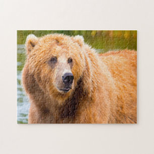 Kodiak Brown Bears. Jigsaw Puzzle