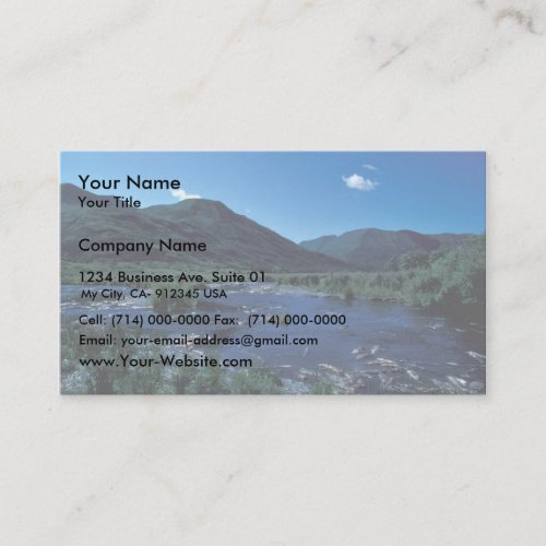 Kodiak Stream and Mountains in Summer Business Card