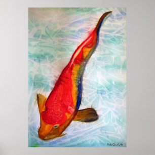 Kohaku Koi fish original watercolor art Poster