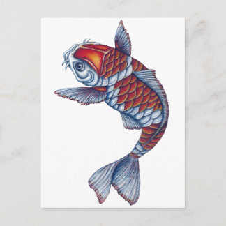Kohaku Koi Fish Postcard