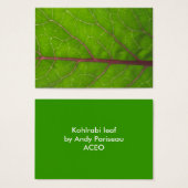 Kohlrabi Leaf ~ ATC (Front & Back)