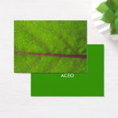 Kohlrabi Leaf ~ ATC (Desk)