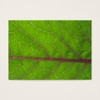 Kohlrabi Leaf ~ ATC