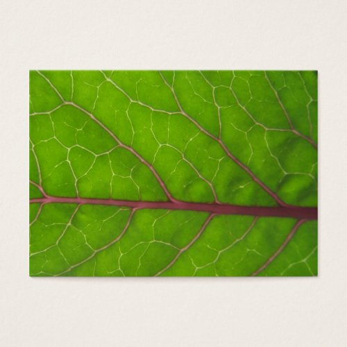 Kohlrabi Leaf ~ ATC Business Cards