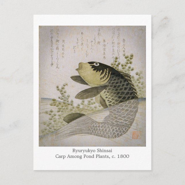 Koi Carp Among Pond Plants Ryuryukyo Shinsai Art Postcard (Front)
