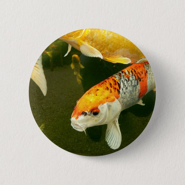 Koi Carp Badge Button (Front)