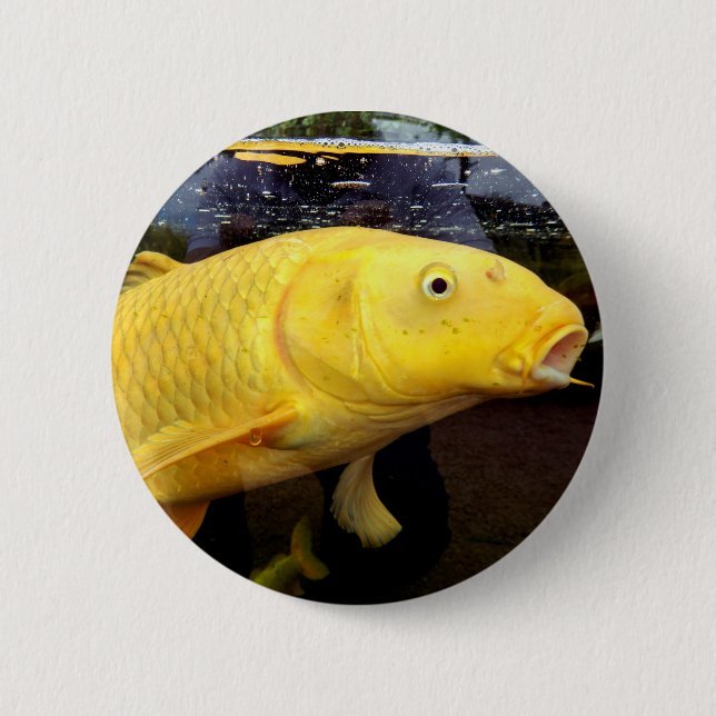 Koi Carp Badge Button (Front)