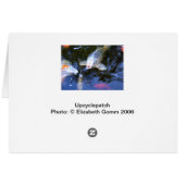Koi Carp Cards (Back Horizontal)