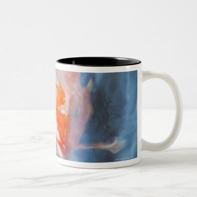 Koi Carp (Cyprinus carpio), Japan Two-Tone Coffee Mug (Right)