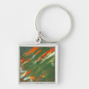 Koi carp fish swimming in a pond keychain