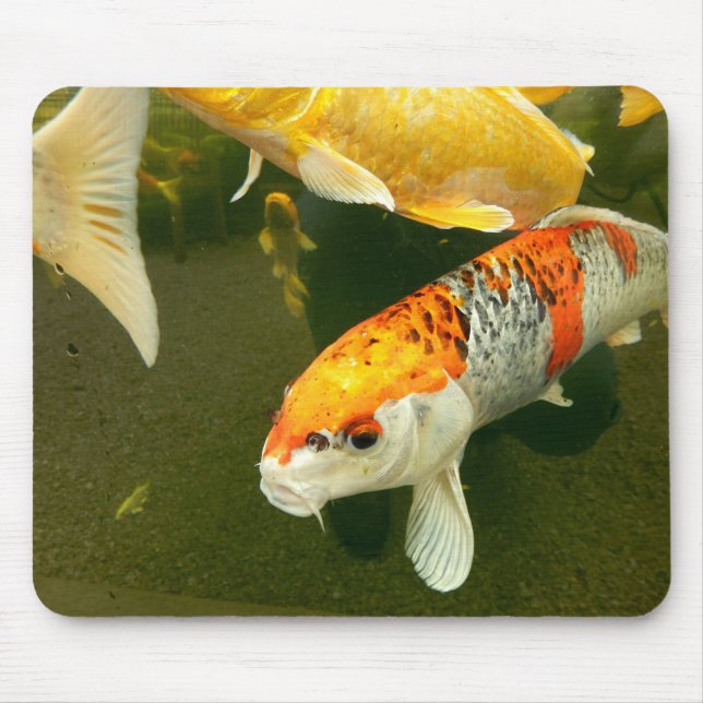 Koi Carp Mouse Mat (Front)