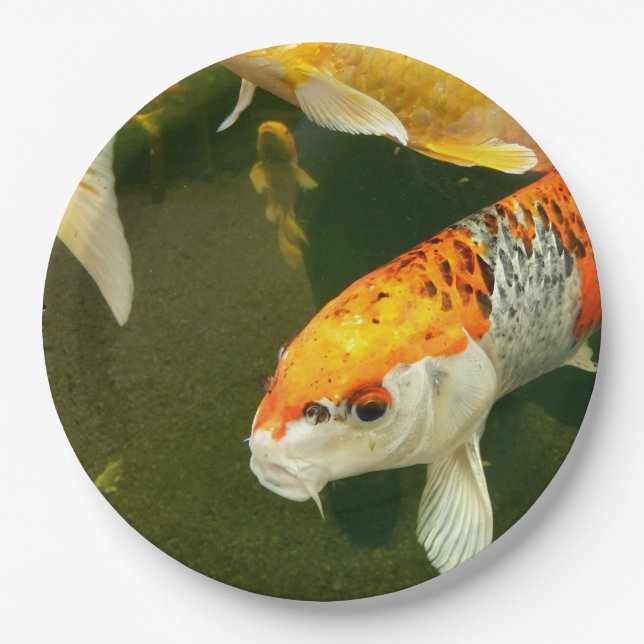 Koi Carp Paper Plate (Front)