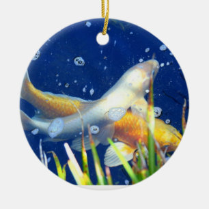 koi carp swimming ornament