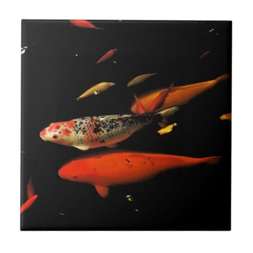 Koi Carp Tile