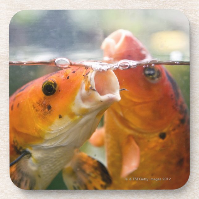 Koi carps coaster (Front)