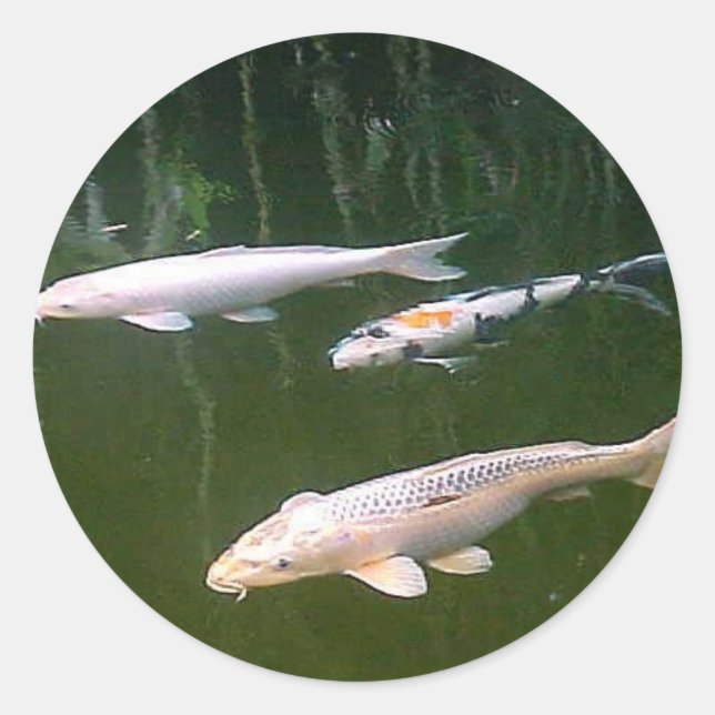 Koi Classic Round Sticker (Front)