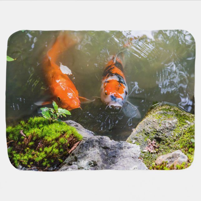 Koi fish in a pond baby blanket (Horizontal)