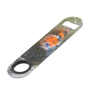 Koi fish in a pond bar key