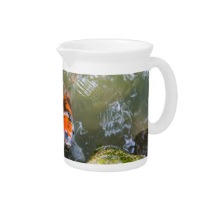 Koi fish in a pond beverage pitcher