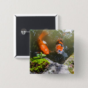 Koi fish in a pond button