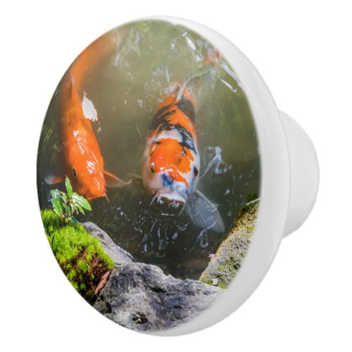 Koi fish in a pond ceramic knob