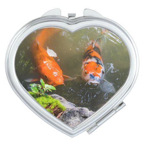 Koi fish in a pond compact mirror