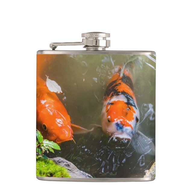Koi fish in a pond flask (Front)
