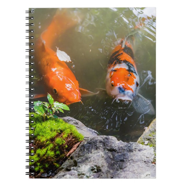 Koi fish in a pond notebook (Front)