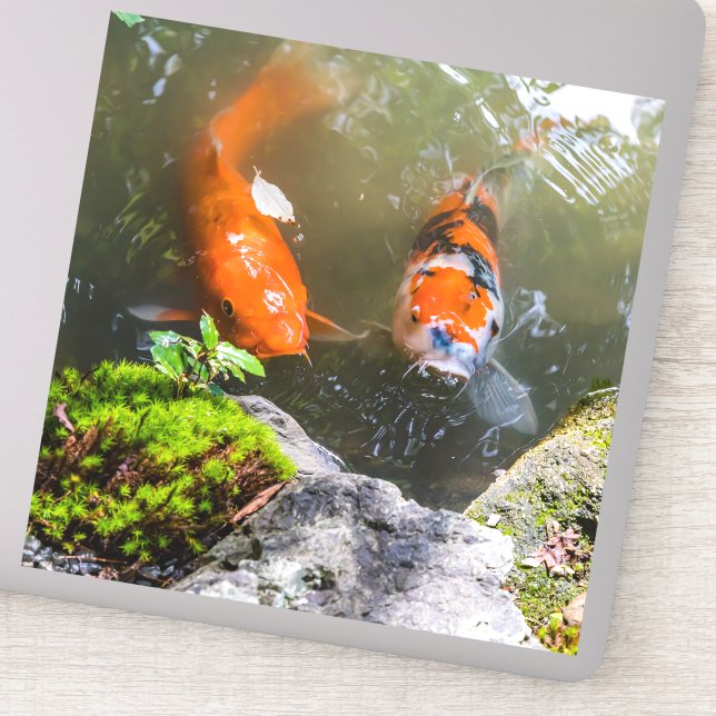 Koi fish in a pond sticker (Detail)