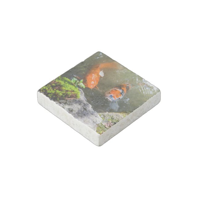 Koi fish in a pond stone magnet (Angled)